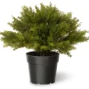 Online National Tree Company 15" Artificial Globe Juniper