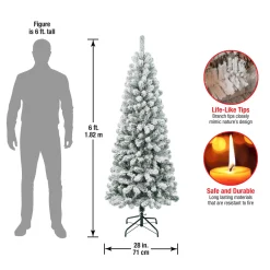 Discount National Tree Company 6 ft. Acacia Medium Flocked Tree
