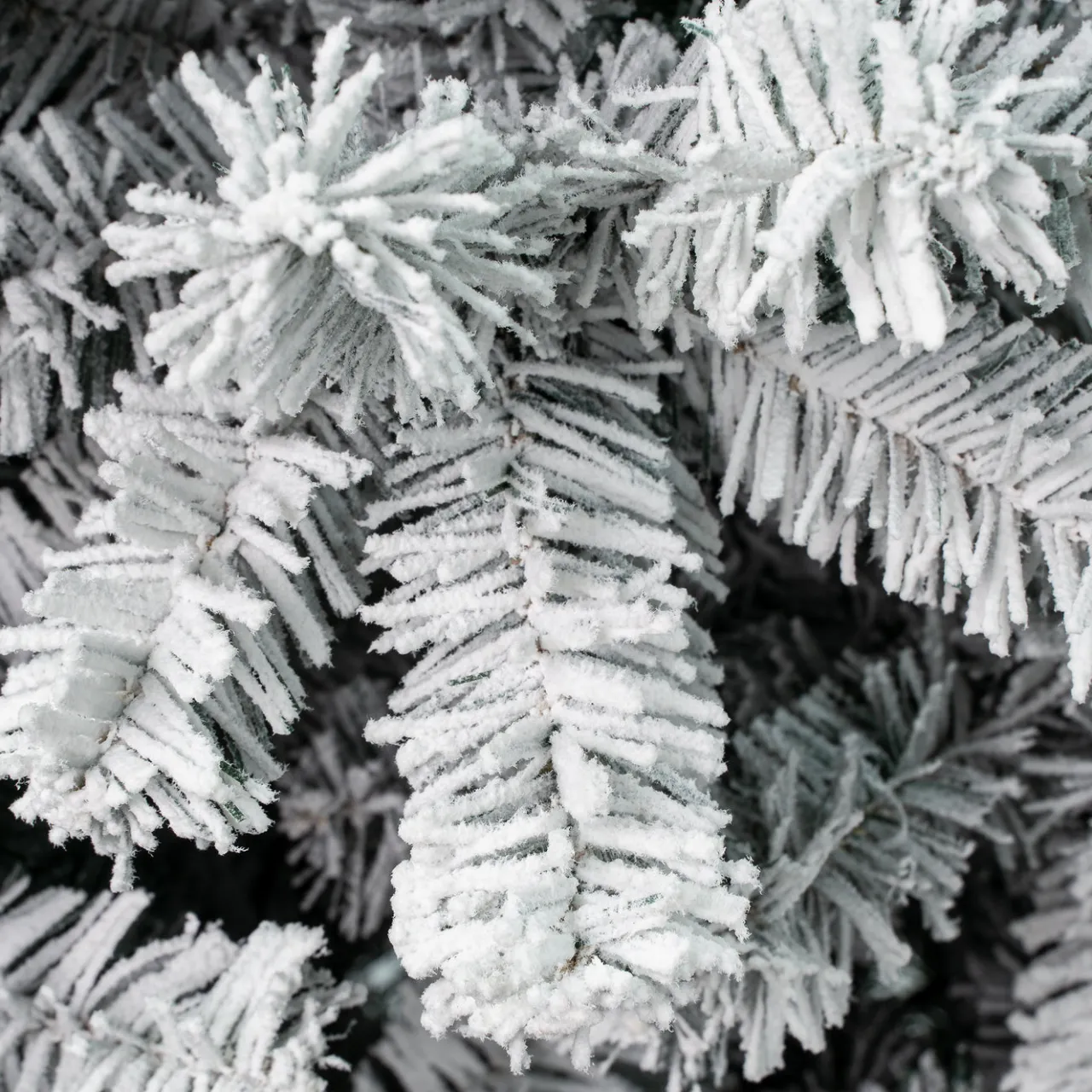 National Tree Company 7.5 ft. Acacia Pencil Slim Flocked Tree