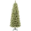 National Tree Company 6 ft. Arcadia Pine Cashmere Slim Tree