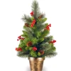 Clearance National Tree Company 2 ft. Crestwood Spruce Tree