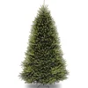 Best National Tree Company 10 ft. Dunhill Fir Tree