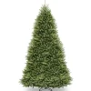 Best National Tree Company 12 ft. Dunhill Fir Tree
