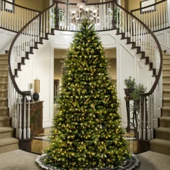 Discount National Tree Company 14 ft. Dunhill Fir Tree