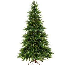 Sale National Tree Company 6.5 ft. Festive Fern Tree with Clear Lights