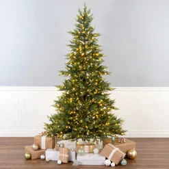 Sale National Tree Company 6.5 ft. Festive Fern Tree with Clear Lights