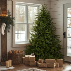 Sale National Tree Company 7.5 ft. Fraser Grande Tree