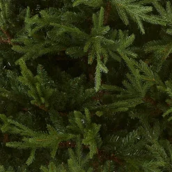 Sale National Tree Company 7.5 ft. Fraser Grande Tree