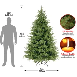 Sale National Tree Company 7.5 ft. Fraser Grande Tree