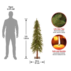 Online National Tree Company 5 ft. Hickory Cedar Tree