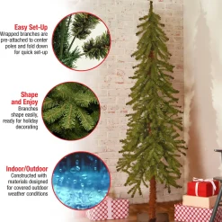 Online National Tree Company 5 ft. Hickory Cedar Tree