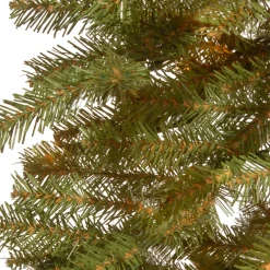 Online National Tree Company 5 ft. Hickory Cedar Tree