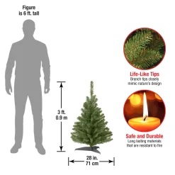 National Tree Company 3 ft. Kincaid Spruce Tree