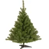 National Tree Company 4 ft. Kincaid Spruce Tree