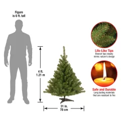 National Tree Company 4 ft. Kincaid Spruce Tree