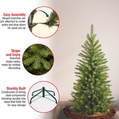 Discount National Tree Company 4 ft. Kingswood Fir Pencil Tree