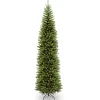 Outlet National Tree Company 10 ft. Kingswood Fir Pencil Slim Tree