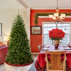 Outlet National Tree Company 6 ft. North Valley Spruce Tree