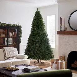 Outlet National Tree Company 9 ft. North Valley Spruce Tree