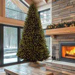 Outlet National Tree Company 16 ft. North Valley Spruce Tree
