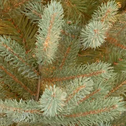 National Tree Company 7.5 ft. Norway Fir Tree