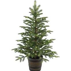 Hot National Tree Company 4 ft. Norwegian Spruce Entrance Tree with Clear Lights