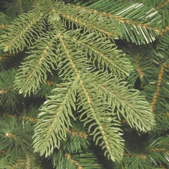 Hot National Tree Company 4 ft. Norwegian Spruce Entrance Tree with Clear Lights