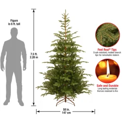 Sale National Tree Company 7.5 ft. Norwegian Spruce Tree