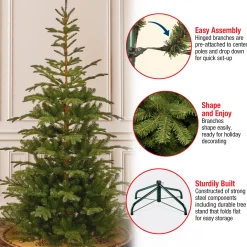 Sale National Tree Company 7.5 ft. Norwegian Spruce Tree