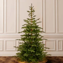 Sale National Tree Company 7.5 ft. Norwegian Spruce Tree