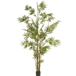 Sale National Tree Company 6 ft. Potted Japanese Bamboo Tree