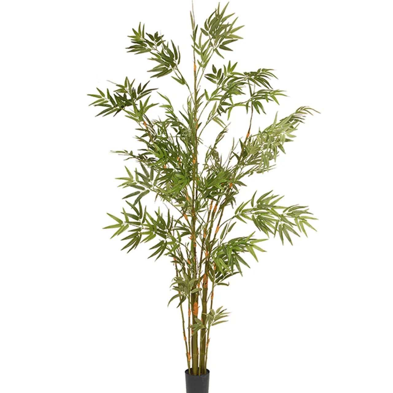 Sale National Tree Company 6 ft. Potted Japanese Bamboo Tree