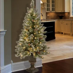 Online National Tree Company 4 ft. Pre-Lit Aberdeen Blue Spruce Tree with Twinkly LED Lights