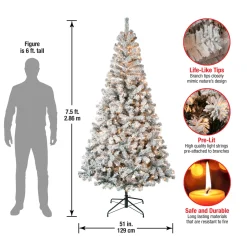 Hot National Tree Company 7.5 ft. Pre-Lit Acacia Flocked Tree with Clear Lights