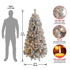 Discount National Tree Company 6 ft. Pre-Lit Acacia Flocked Tree with Clear Lights