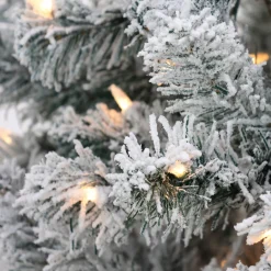 Discount National Tree Company 6 ft. Pre-Lit Acacia Flocked Tree with Clear Lights