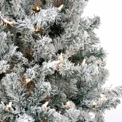 Discount National Tree Company 6 ft. Pre-Lit Acacia Flocked Tree with Clear Lights