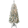 Discount National Tree Company 4.5 ft. Pre-Lit Acacia Medium Flocked Tree with Clear Lights