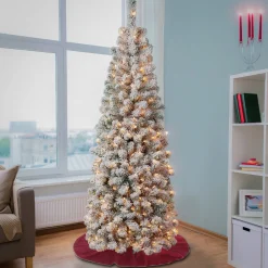 Hot National Tree Company 6 ft. Pre-Lit Acacia Pencil Slim Flocked Tree with Clear Lights