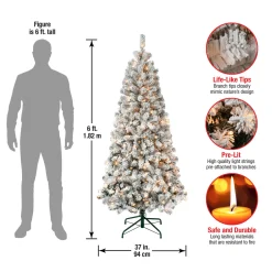 Clearance National Tree Company 6 ft. Pre-Lit Acacia Slim Tree with Clear Lights