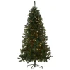Clearance National Tree Company 6 ft. Pre-Lit Acacia Tree with Clear Lights
