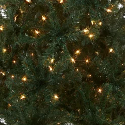 Clearance National Tree Company 6 ft. Pre-Lit Acacia Tree with Clear Lights