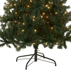 Clearance National Tree Company 6 ft. Pre-Lit Acacia Tree with Clear Lights