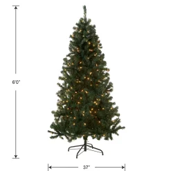 Clearance National Tree Company 6 ft. Pre-Lit Acacia Tree with Clear Lights