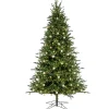 National Tree Company 10 ft. Pre-Lit Aspen Pine Hinged Tree with Warm White LED Light