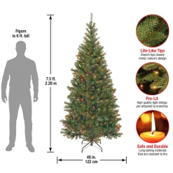 Online National Tree Company 7.5 ft. Pre-Lit Aspen Spruce Slim Tree with Multicolor Lights