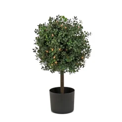 Best National Tree Company 2 ft. Pre-Lit Boxwood Single Ball Topiary in Black Nursery Pot with Clear Lights