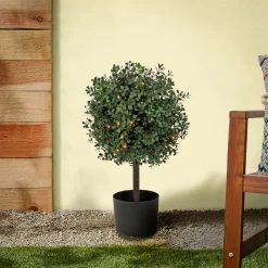 Best National Tree Company 2 ft. Pre-Lit Boxwood Single Ball Topiary in Black Nursery Pot with Clear Lights