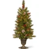 Online National Tree Company 4 ft. Pre-Lit Bristle Berry Tree with Clear Lights