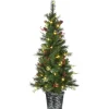 Hot National Tree Company 5 ft. Pre-Lit Buzzard Pine Slim Tree with LED Lights